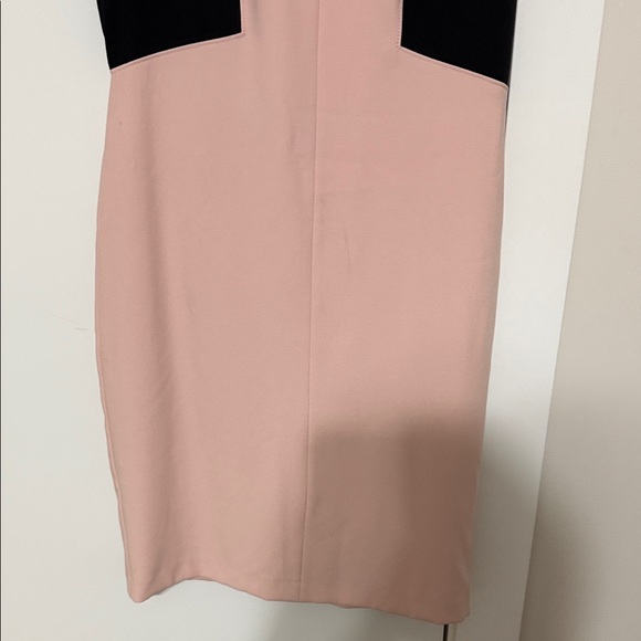 White House Black Market Blush and Black Dress - Picture 5 of 8